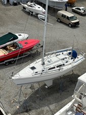 Schock Therapy 39 