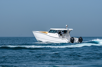 #1  SILVERCAT 34HT 25 