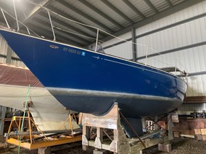 Blue Devil 0 001
