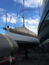 Daisy VI 1 