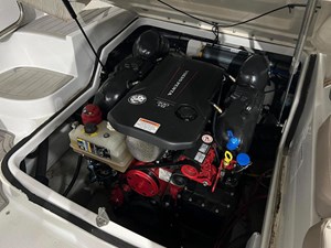 2019 Crownline E255 Surf 18 