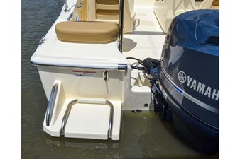 2022 Scout 175 Sport Dorado 46 
