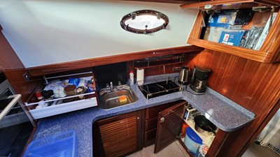 ELA F 12 20240222_170809