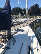 Sea Salt 20 