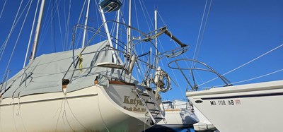 Katydid 51 