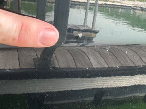 024 Yamaha 252SD NLNL 121 