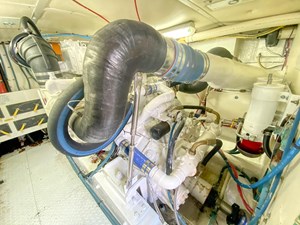 JUST BEARLY III 56 56