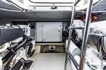 Irish Lady 106 4L4A8899