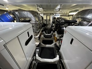 Bucephalus 39 IMG_5372