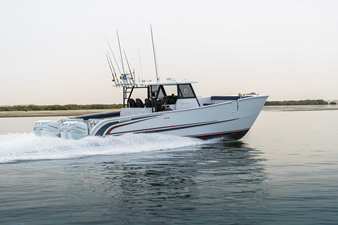 SILVERCAT 40CC 29 