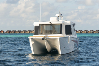 SILVERCAT 34LUX 24 