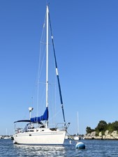 TFIN 37 IMG_7766