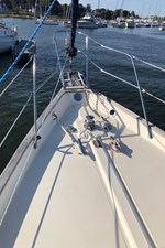 NIGHTINGALE 28 