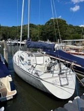 Sea Salt 3 