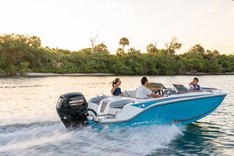 Bayliner M17 4 