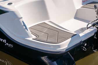 Bayliner M15  15 
