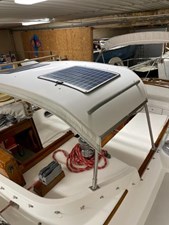 TRILLIUM 20 Hard Dodger