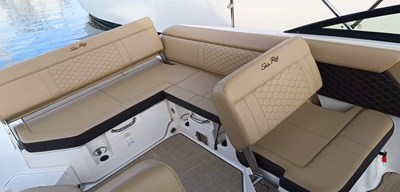 2022 Sea Ray 250 SDX @ Puerto Vallarta 5 