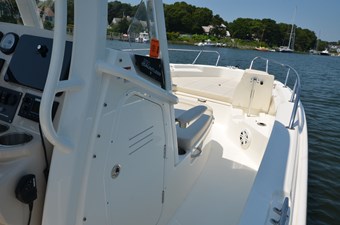 Boston Whaler 250 10 Looking Forward