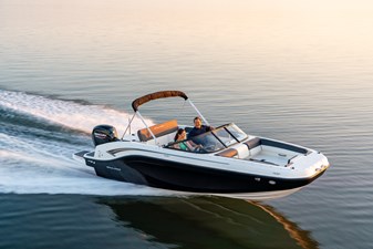 Bayliner DX2000 1 