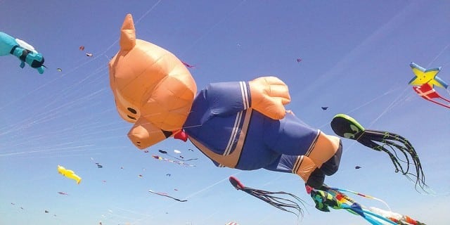 Kite Festival in North Carolina