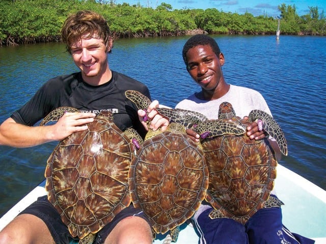 TurtleGO
