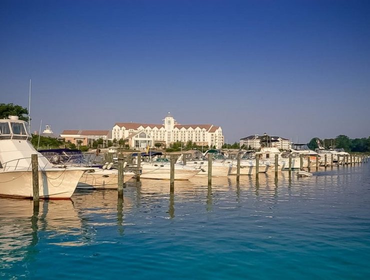 An image of River Marsh Marina