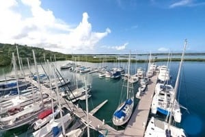 An image of Red Frog Marina in Panama
