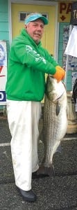 Anglers should find some trophy-sized striped bass this month while fishing in the Mid-Atlantic Rockfish Shootout. Photo: Mid-Atlantic Rockfish Shootout