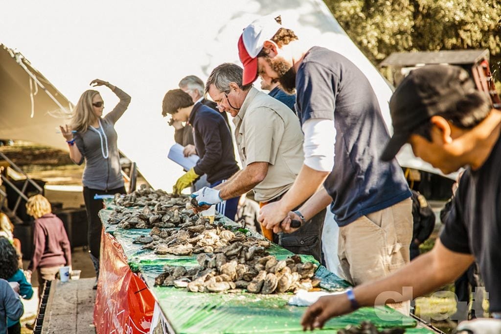 Lowcountry Oyster Festival