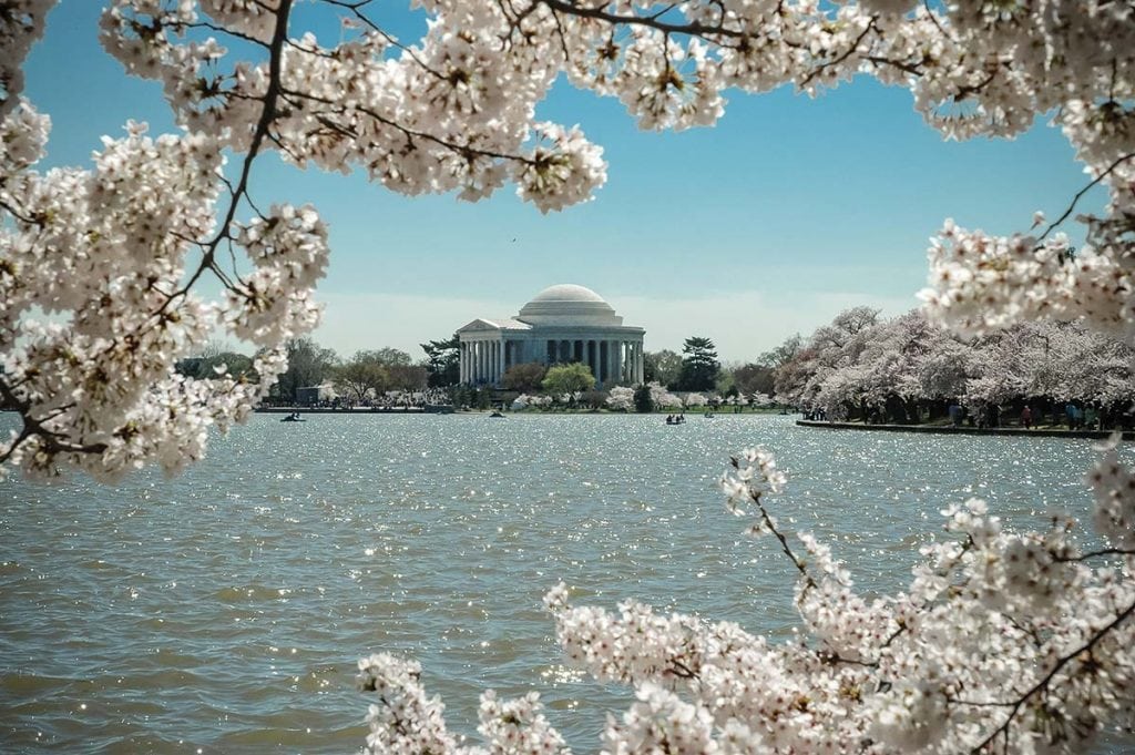 Cherry blossom time along the Potomac
