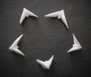 Five doves from inside a sand dollar. Photo: Stephen Connett