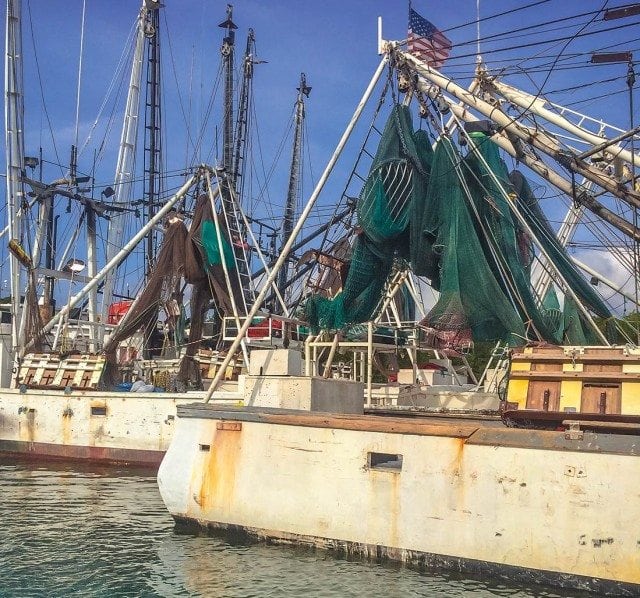 Critics say catch share fishing experiences blur the line between commercial and recreational fishing in the Gulf of Mexico. Photo: Liz Pasch