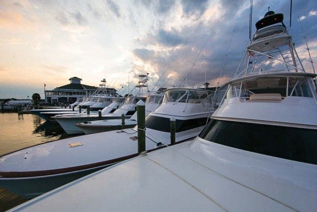 Pirates-Cove-Billfishing-1JL