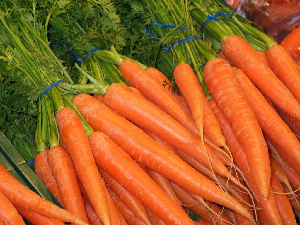 North African Carrot Salad, Carrots, a bunch of carrots