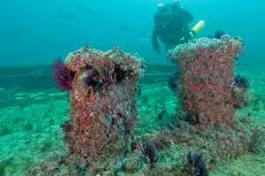 Artificial Reef