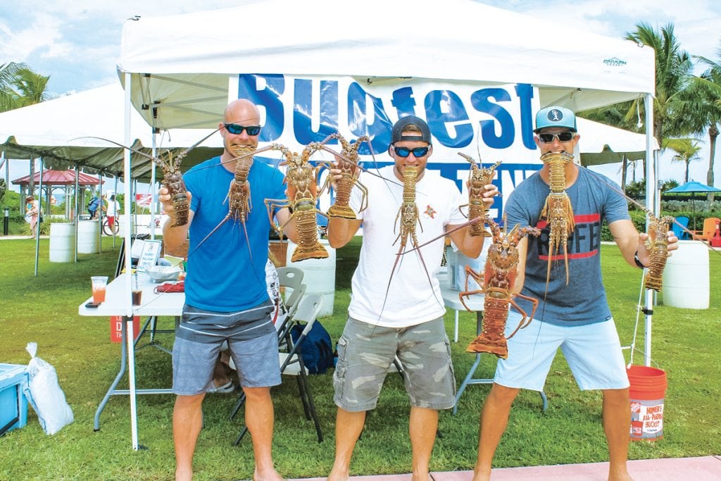Celebrate lobsters with Bugfest