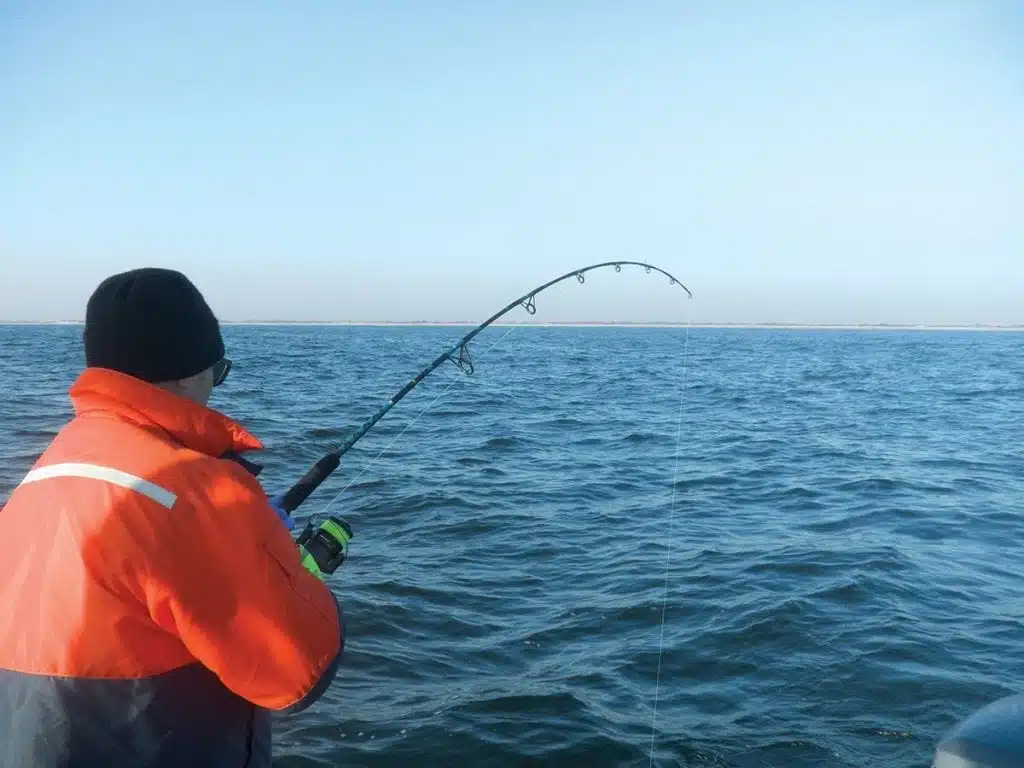 An image of a man Bass Fishing in Long Island