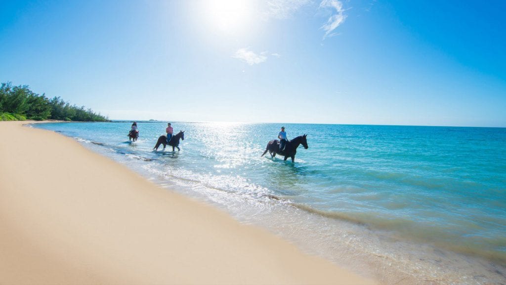an image of Horseback Riding in The Bahamas