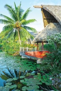 Chartering in Tahiti
