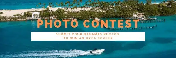 Submit a photo, win a cooler photo contest