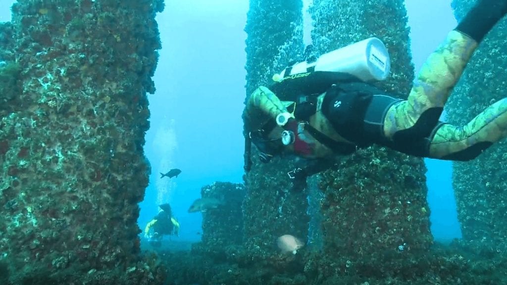 Alabama Reefs Welcome Divers
