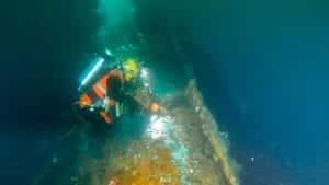 an image if a diver on the coimbra