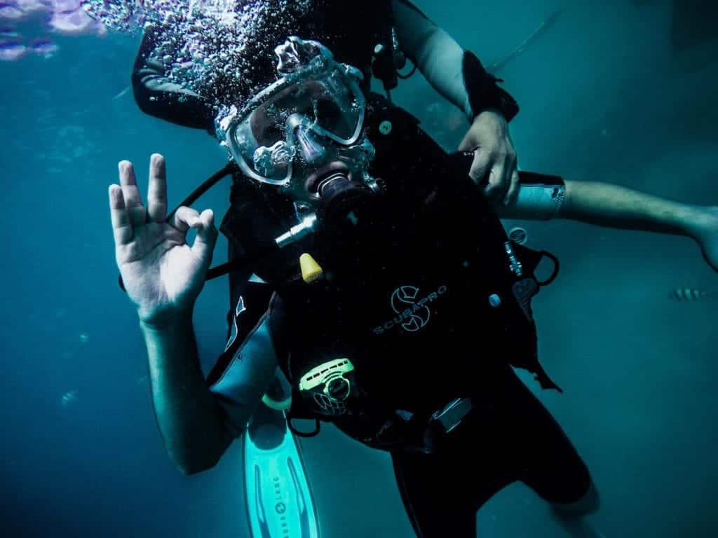 an image of a SCUBA diver