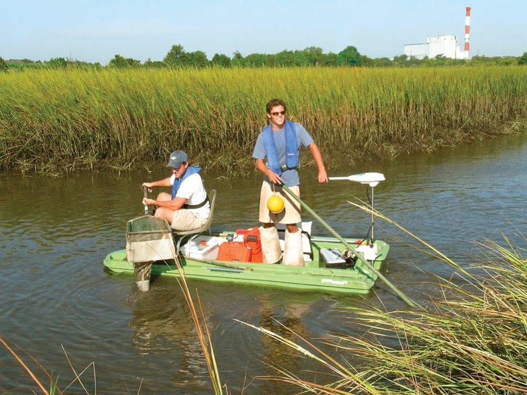 This is an image of grass shrimp monitoring