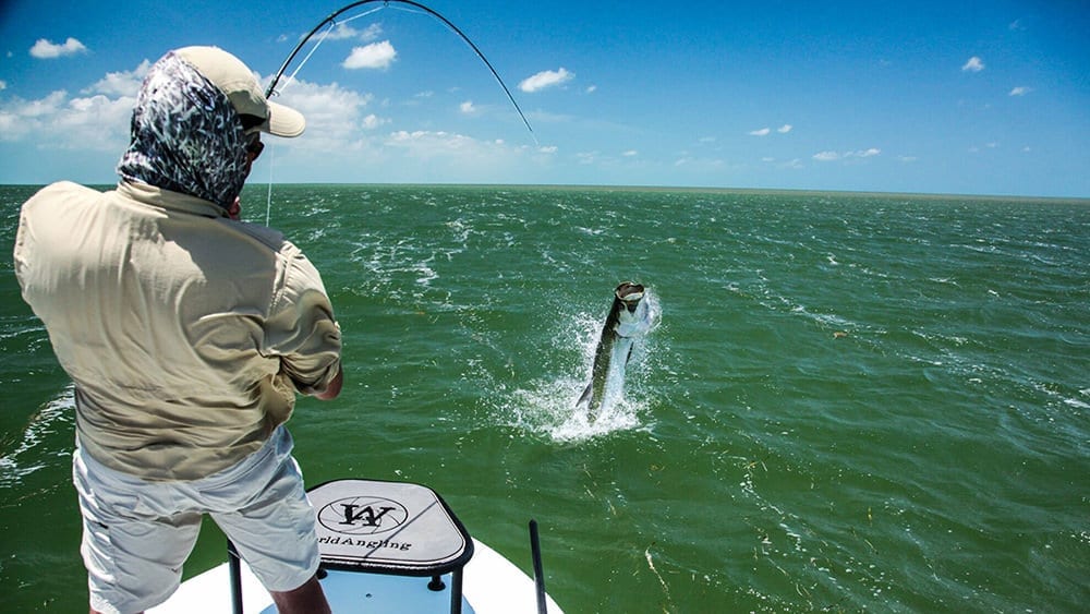Top 5 Fishing Spots in the Southeast - Southern Boating