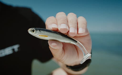 Beach Fishing For Snook And Jacks (Live Target Swim Bait Fishing