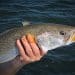 Man holding fish