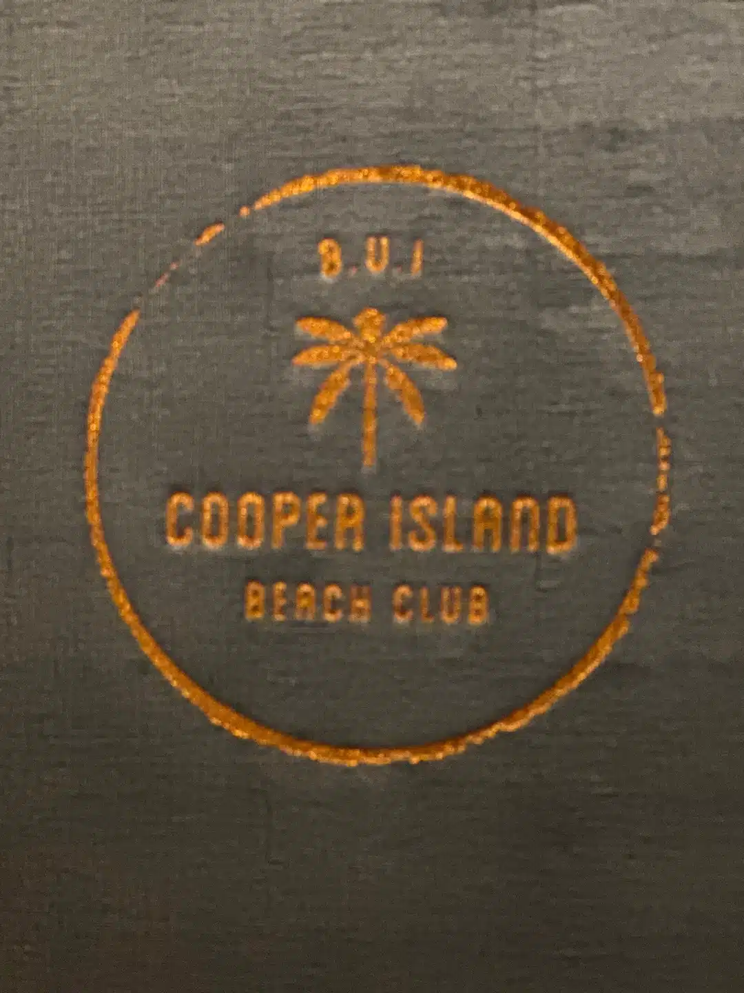 Day 2 – Discover the BVI’s Beautiful Cooper Island