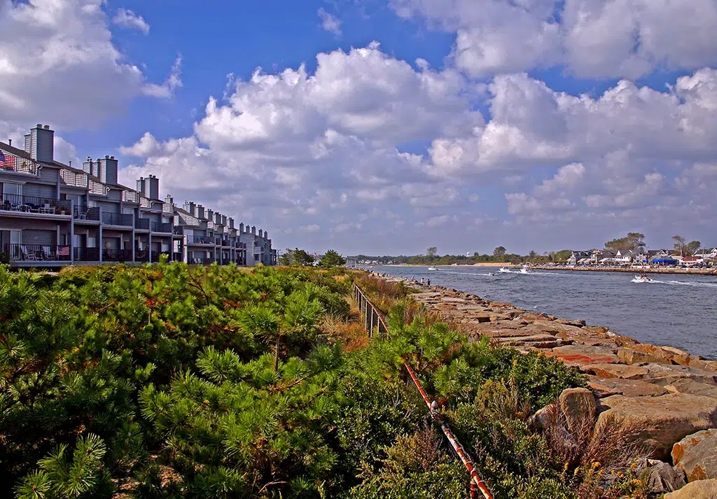 The Manasquan inlet with an emphasis on the vegetation and properties surrounding the water.